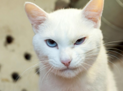  Дожди на Кубани в субботу не прекратятся 