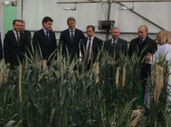 Александр Ткачев показал Владимиру Путину Краснодарский край