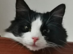 Летняя погода ожидается 1 апреля в Краснодарском крае