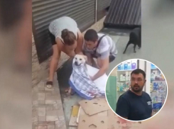 В Сочи завели уголовное дело на избившего раненую дворнягу мужчину