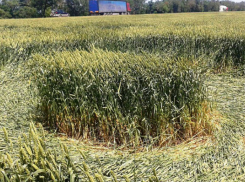 НЛО из Сочи оставило «круги» на адыгейском поле