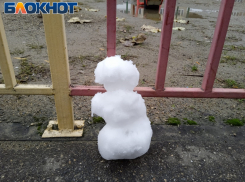 В Краснодаре лепят первых снеговиков