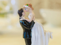 В Краснодаре 160 пар решили узаконить отношения в День семьи, любви и верности