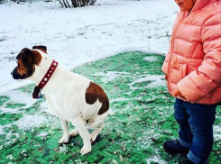 Год назад в этот день в Краснодаре выпал первый снег