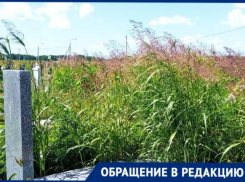 Надгробия утонули в траве на кладбище в Краснодаре 