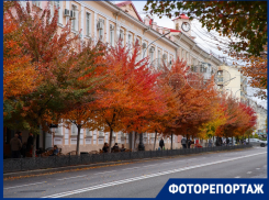 Краснодар вспыхнул красно-жёлтыми красками: осенняя фотопрогулка по городу