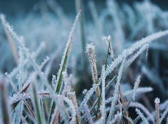 Первые заморозки: в Гидрометцентре предупредили о резком похолодании на Кубани