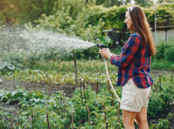 Как краснодарцам организовать эффективную и экономичную систему полива