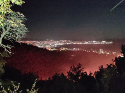 «Много редких растений погибло, тяжело было животным»: жительница Геленджика о помощи добровольцев в тушении пожара