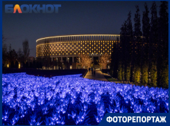 Новогодняя сказка: в Краснодаре показали преобразившийся ночной парк Галицкого