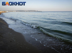Эксперты продолжают утверждать о безопасности рыбы на побережье Кубани