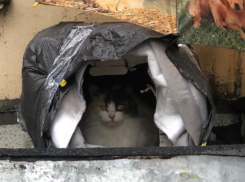 До -25 градусов упадет температура воздуха в Краснодарском крае