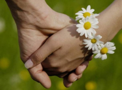 Как и где в Краснодаре отметить День семьи, любви и верности 