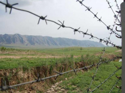 Слишком сильно хотел жить в Краснодарском крае гражданин Таджикистана