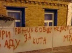 Краснодарке, убившей кота ударом об столб, изуродовали забор