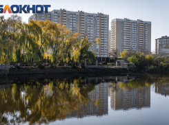 Последняя пятница осени принесет в Краснодар солнечную погоду 