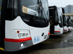 В Краснодаре пообещали запустить приложение для городского транспорта уже первого декабря