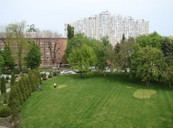 Зеленые насаждения вокруг Краснодара защитят от вырубки застройщиками