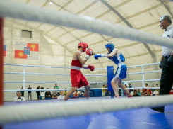 В Сочи прошли соревнования по боксу памяти летчика-космонавта В.И. Севастьянова