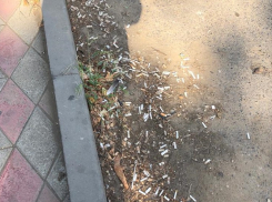 В микрорайоне Краснодара страшно ходить вечерами по улицам