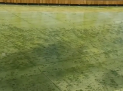  Вода в фонтане парка Галицкого позеленела 