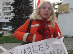 Приговор кубанской активистке Дарье Полюдовой вступил в силу 