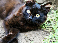 Дождь со снегом, гололёд и град обрушатся на Краснодарский край