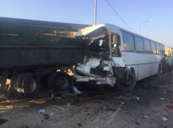 По факту ДТП с четырьмя погибшими в Темрюкском районе возбудили уголовное дело