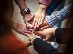 Почти пять миллионов человек приняли участие в переписи на Кубани