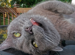  На Кубани будет ясно и жарко, но к вечеру может пойти дождь 