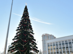 В Краснодаре украсили главную городскую 22-метровую елку