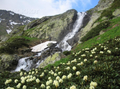 Миллион рублей дают за информацию о пропавшем в Абхазии российском туристе