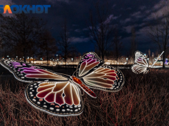 Краснодарстат озвучил цены на новогодние салаты