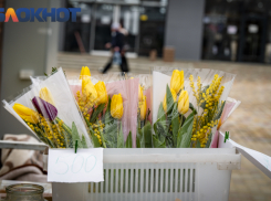 Важное в Краснодаре 20 марта: поздравляем acceнизaтopов, отказываемся от мяса, встречаем весну, забыв прошлое