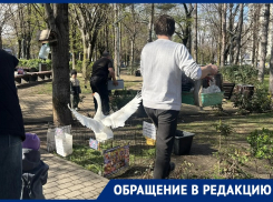 На потеху публике животных рассадили по тесным клеткам в сквере Краснодара