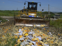 В Краснодаре выявили и сожгли партию санкционного сыра