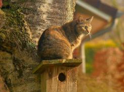 3 мая в Краснодаре будет пасмурно, но тепло