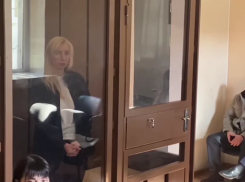 В Краснодаре отправили под домашний арест бывшего вице-губернатора Кубани Минькову