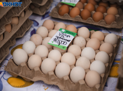 Очередной подъем цен на яйца зафиксировали в Краснодаре