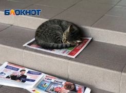 Снова осадки накроют Краснодарский край