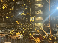 В Краснодаре заметили первый снег: видео