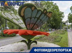 Городской сад: рядом с историей, посреди природы и тишины, на территории развлечений и в центре Краснодара