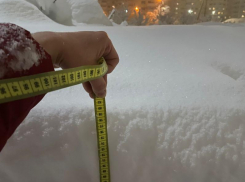 Это не рекорд: измерения высоты сугробов показали 81 см в Краснодаре