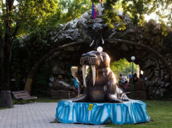 Собственник «Сафари-парка» в Краснодаре готов вернуть землю городу