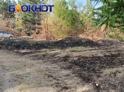 В Краснодарском крае до 14 ноября ограничили посещение лесов