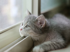 Вторник побалует Кубань теплой и безветренной погодой