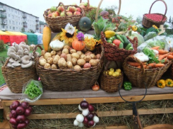  На Кубань вернулись ярмарки выходного дня 