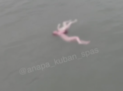 В Чёрном море насмерть замёрз ребёнок