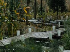 Солнце вновь скроется за облаками в Краснодаре