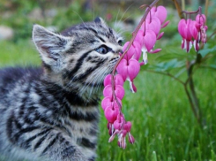 Лето в Краснодарский край пришло на две недели раньше